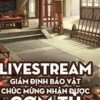 Livestream Giám Định Bảo Vật, Chúc Mừng Nhận Được Cơm Tù (Dịch Full)